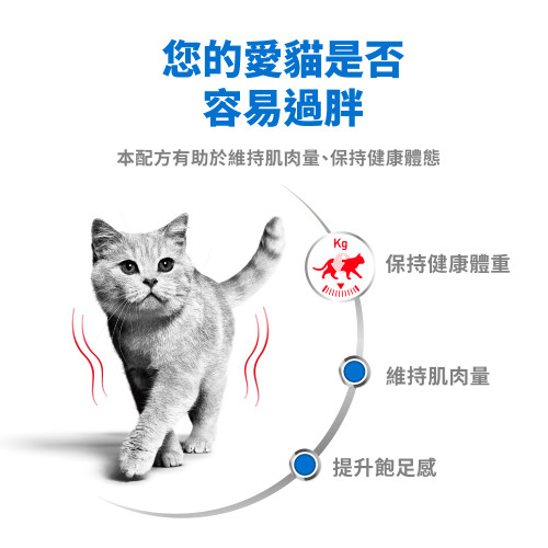 Royal Canin CAT (FCN) Light Weight Care Adult Cat Airlift Can 85g 皇家AIRLIFT成貓體重控制加護主食罐 85g (4240500) (原裝行貨) Royal Canin CAT (FCN) Light Weight Care Adult Cat Airlift Can 85g 皇家AIRLIFT成貓體重控制加護主食罐 85g (4240500) (原裝行貨)